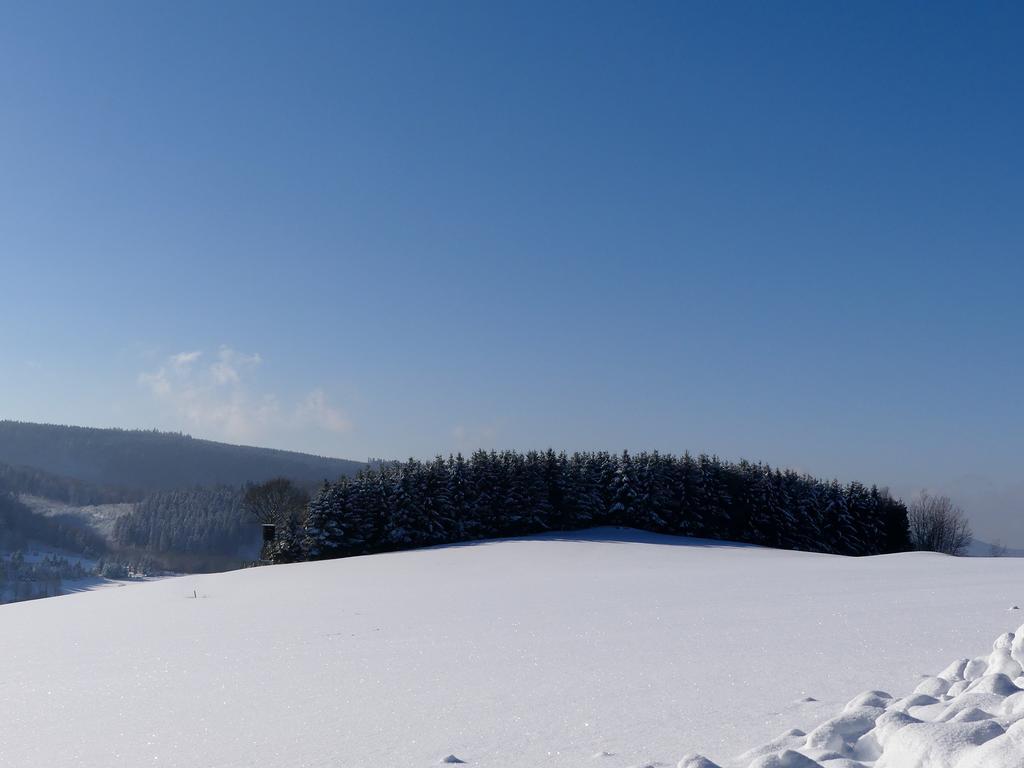 Pension Haus Am Walde Schmallenberg Exteriér fotografie