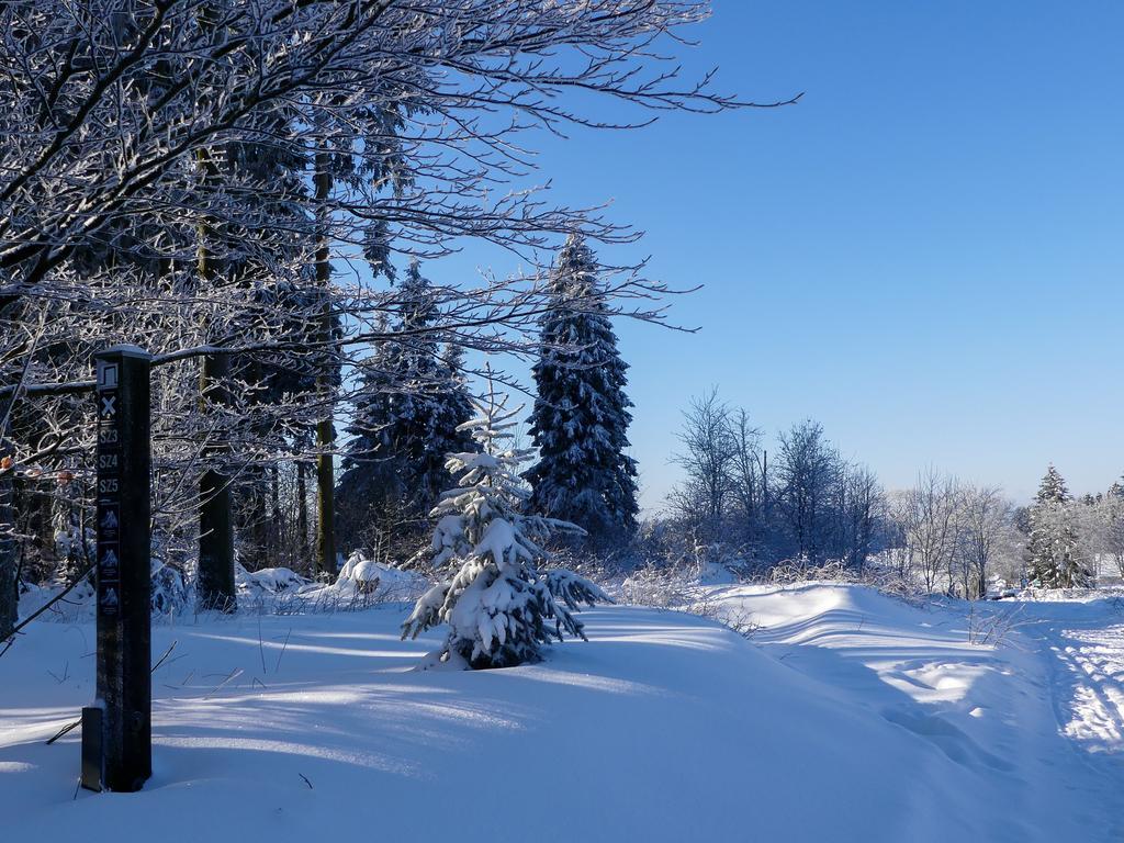 Pension Haus Am Walde Schmallenberg Exteriér fotografie