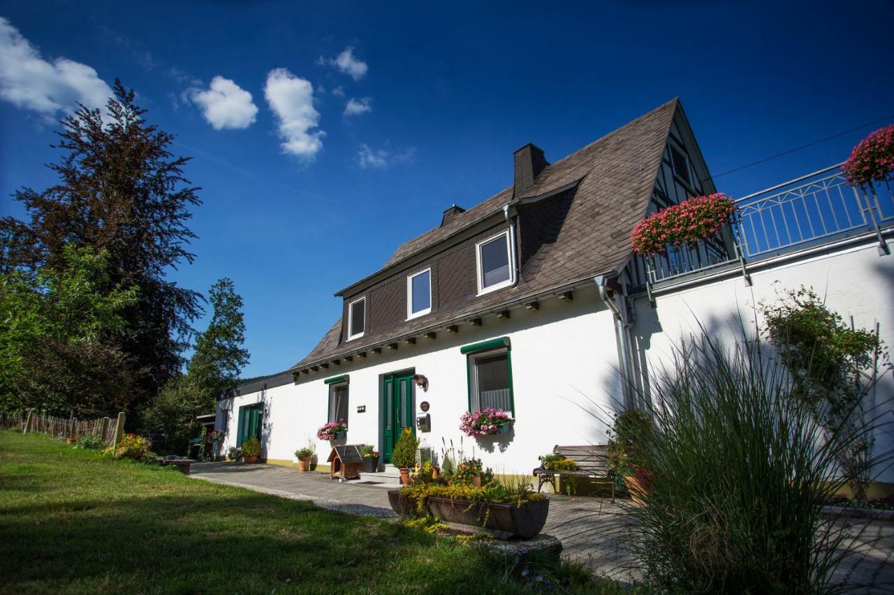 Pension Haus Am Walde Schmallenberg Exteriér fotografie