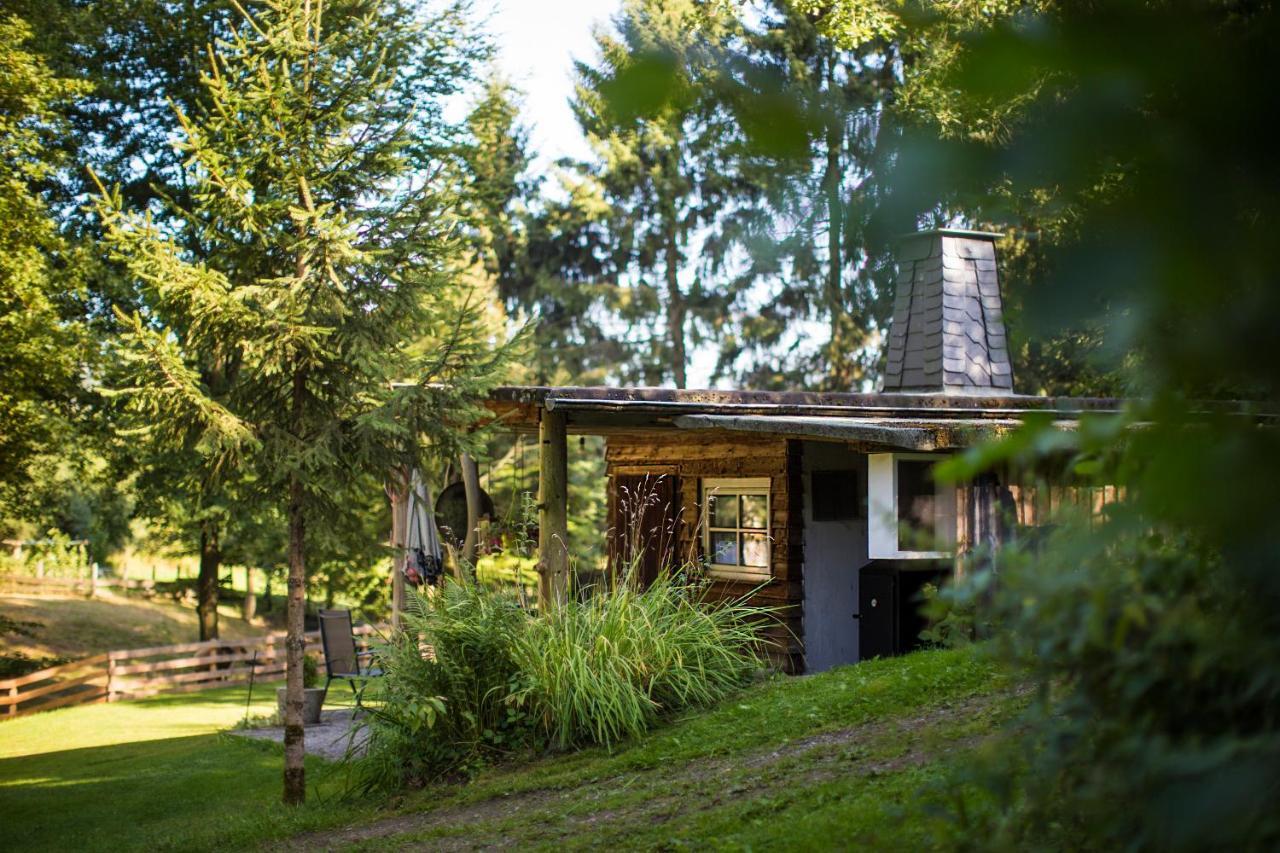 Pension Haus Am Walde Schmallenberg Exteriér fotografie