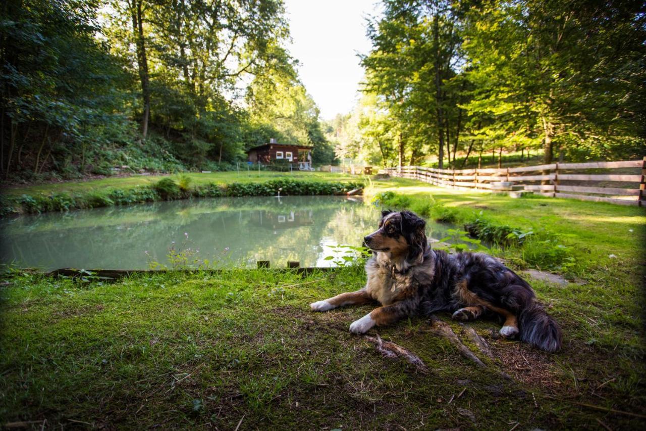 Pension Haus Am Walde Schmallenberg Exteriér fotografie