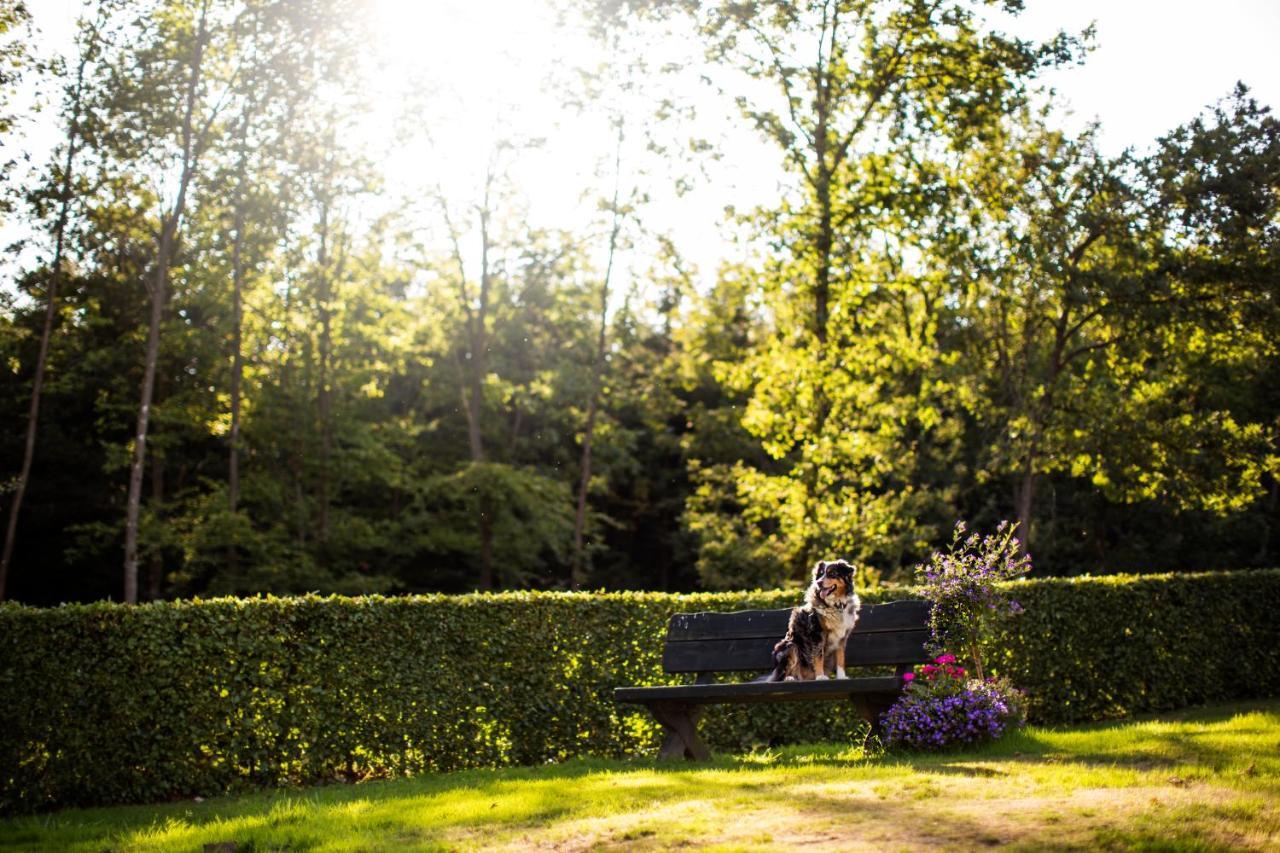 Pension Haus Am Walde Schmallenberg Exteriér fotografie